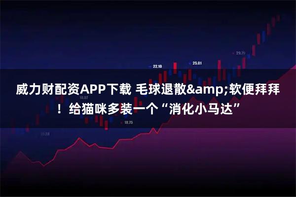 威力财配资APP下载 毛球退散&软便拜拜！给猫咪多装一个“消化小马达”