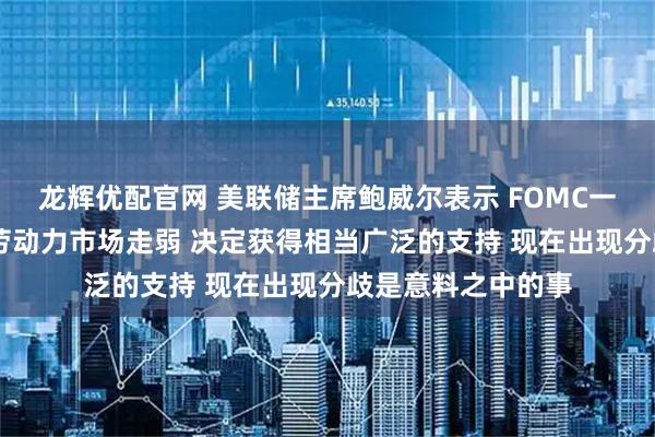 龙辉优配官网 美联储主席鲍威尔表示 FOMC一致认为通胀过高 劳动力市场走弱 决定获得相当广泛的支持 现在出现分歧是意料之中的事