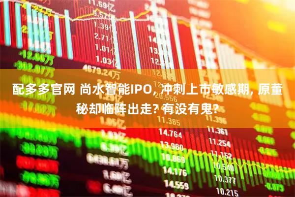 配多多官网 尚水智能IPO, 冲刺上市敏感期, 原董秘却临阵出走? 有没有鬼?