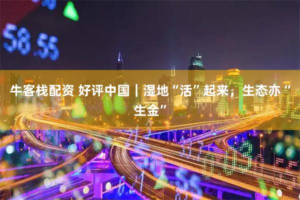 牛客栈配资 好评中国｜湿地“活”起来，生态亦“生金”